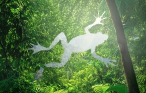ALPZA lanza campaña regional para frenar el tráfico ilegal de fauna silvestre en América Latina